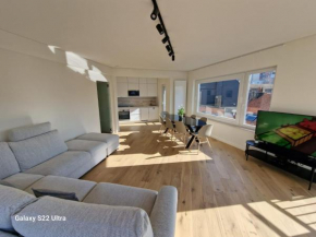 Luxury Renovated 3 Rooms Apartment